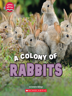 cover image of A Fluffle of Rabbits